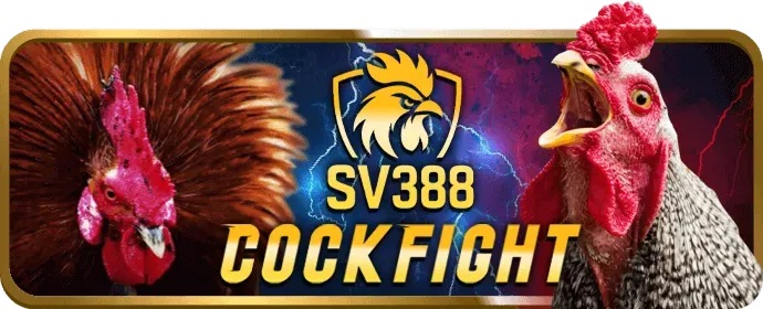 Hình ảnh lịch sử phát triển của win3365 win